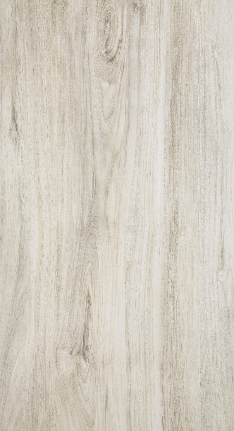 B331/B4/B1 : PKG004719