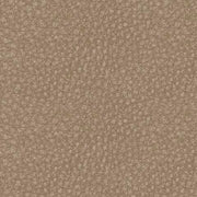 61004/31/46/57/58/62/77 : 61004S7
